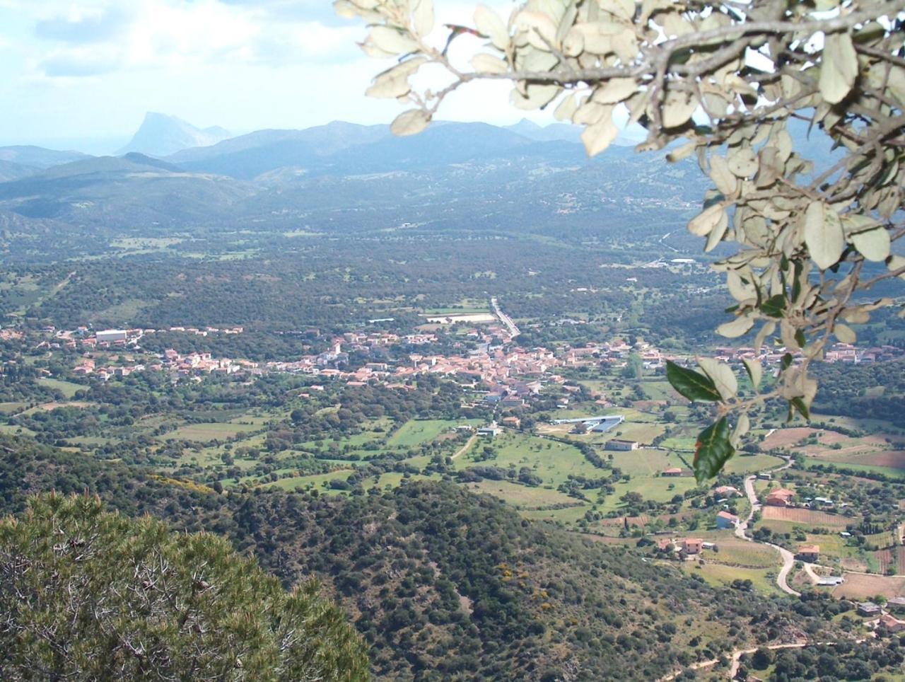 Sa Domo Villa Padru Exteriör bild